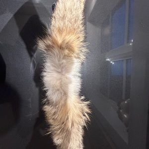 Canada Goose Fur Attachment